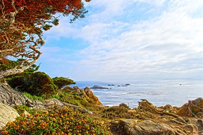 Point Lobos, Cental California Coast