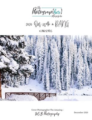 2020 Out With a BANG | 9.Landscapes