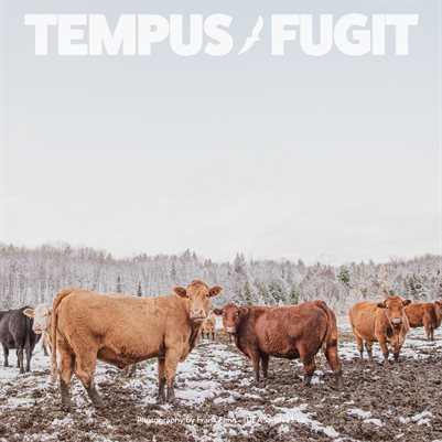 Tempus Fugit Project Manager Calendar 2021 Cattle