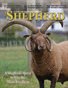 The Shepherd March 2026