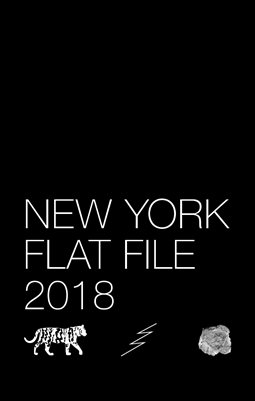 TSA NY Flat File 2018