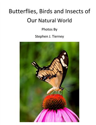 Butterflies Birds and Insects 2 by stephen J Tierney c 2012
