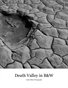 Death Valley 2010