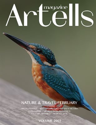 ARTELLS MAGAZINE - NATURE & TRAVELS FEBRUARY (Vol 2965)