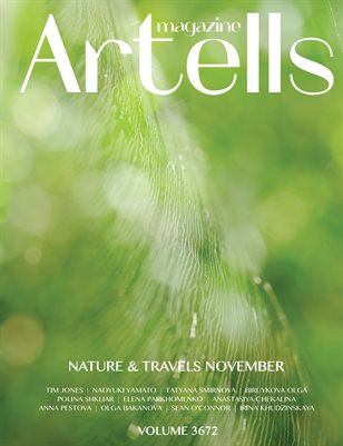 ARTELLS MAGAZINE - NATURE & TRAVELS NOVEMBER (Vol 3672)