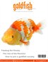 Goldfish Magazine Issue 2 