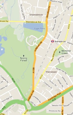 Epping Forest (Print Edition)