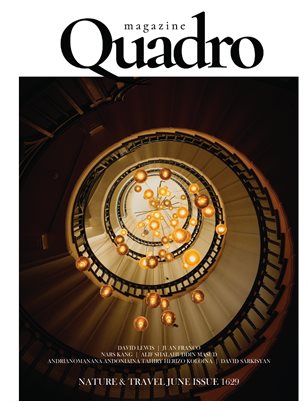 Publication preview