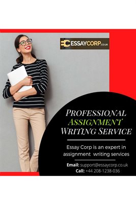 Professional Assignment Writing Service UK