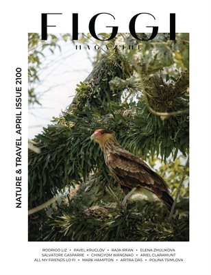 FIGGI MAGAZINE - NATURE & TRAVEL APRIL (Vol 2100)
