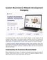 Custom Ecommerce Website Development Company