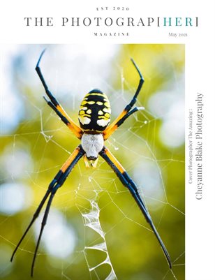 Wild Animals | May 2021