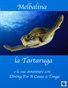 Melbalina the Turtle and her Adventures with Diving For A Cause in Tonga in Italian