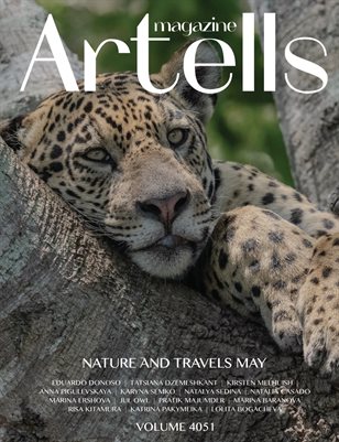 Publication preview