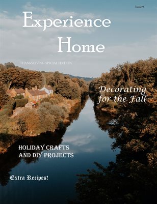 Experience Home Iss. 9