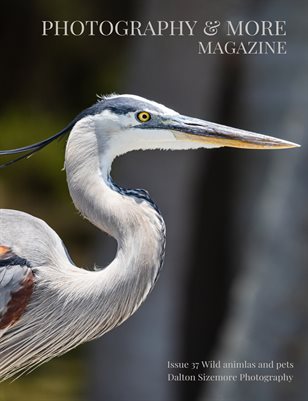 Issue 37 Wild animals and pets