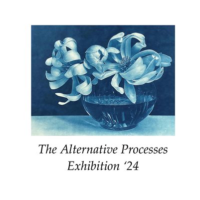 The Alternative Processes Catalog