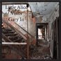 Little ALice Visits Gary IN