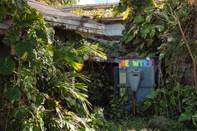 Nature of Technology