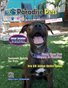 Paradise Pets Magazine, Key West FL Vol. 2 Issue 3