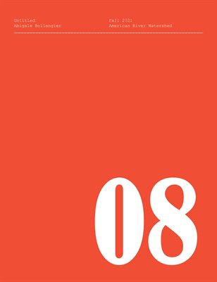 Untitled. Sacramento State 2021 PHOT165 Book 