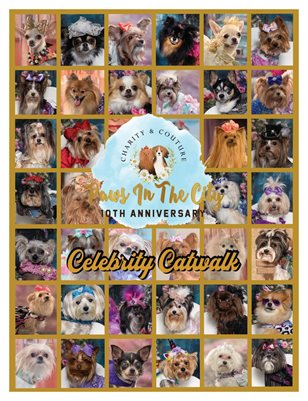 Celebrity Catwalk November 2023