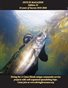Dive In Magazine 16 years of Success