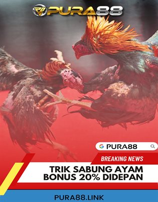 PURA88 - AGEN SABUNG AYAM ONLINE TERPERCAYA