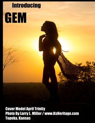Introducing GEM