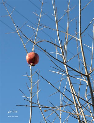 Jane (Advanced Photo 2016)