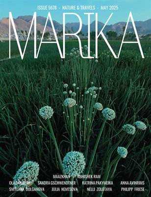 Publication preview