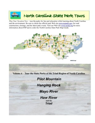 Publication preview