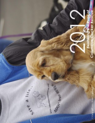 CCR 2012 Wall Calendar