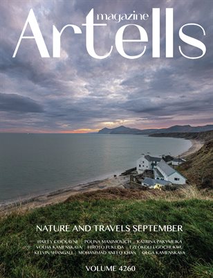 Publication preview