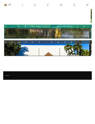 Things To Do In miami