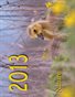 Calendar - Nature - 2013