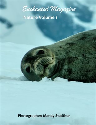 Nature Volume 1