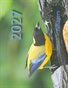 Tanagers 2027
