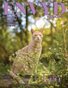 ENVYD Magazine Issue 593 April 2026 Animal Instincts