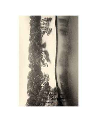 Anonymous Photographs