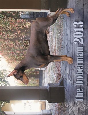The Doberman 2013