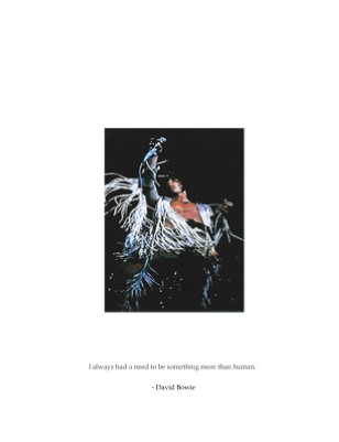 Picture Stories, Volume 5: The Need to be More than Human