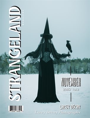 Issue 12 November 2025 V2 Lacey Decay Cover