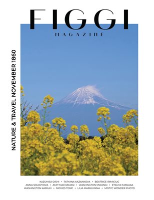 FIGGI MAGAZINE - NATURE & TRAVEL NOVEMBER (Vol 1860)