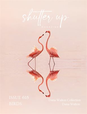 Publication preview