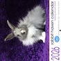 2026 Rabbit Haven Calendar