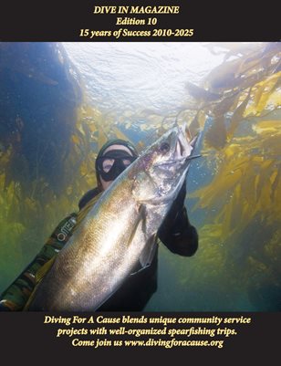 Dive In Magazine Edition 10 15 years of Success