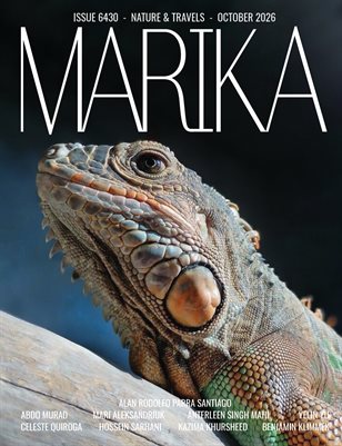 Publication preview