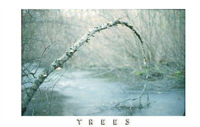 Trees