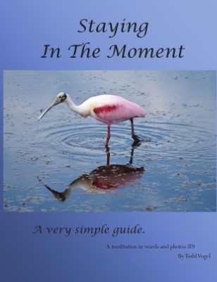 Staying in the moment.